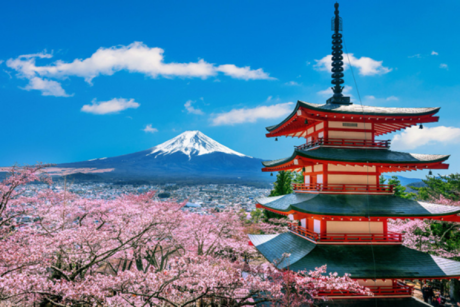 3-Day Japan Cultural & Scenic Experience