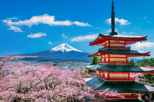 3-Day Japan Cultural & Scenic Experience