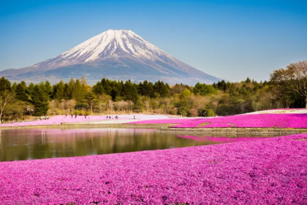 Winter Discovery & Snow Monkeys (9 Days)