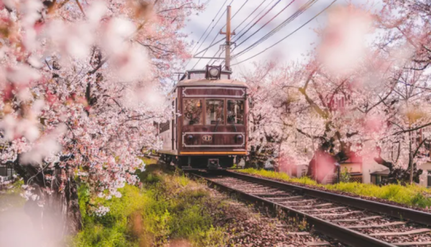 Explore Japan: Best Group Tour Themes for 2026