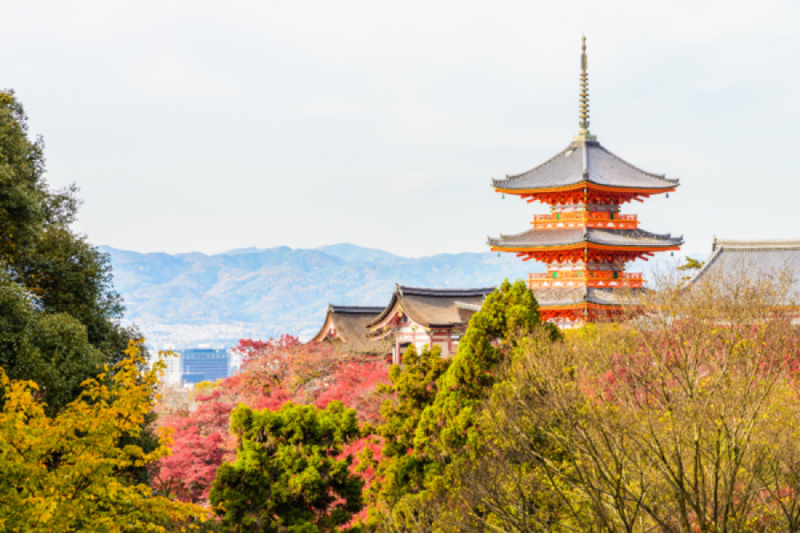 Kyoto & Nara Cultural Journey (8 Days)